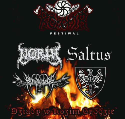 Saltus : Dziady W Kozim Grodzie